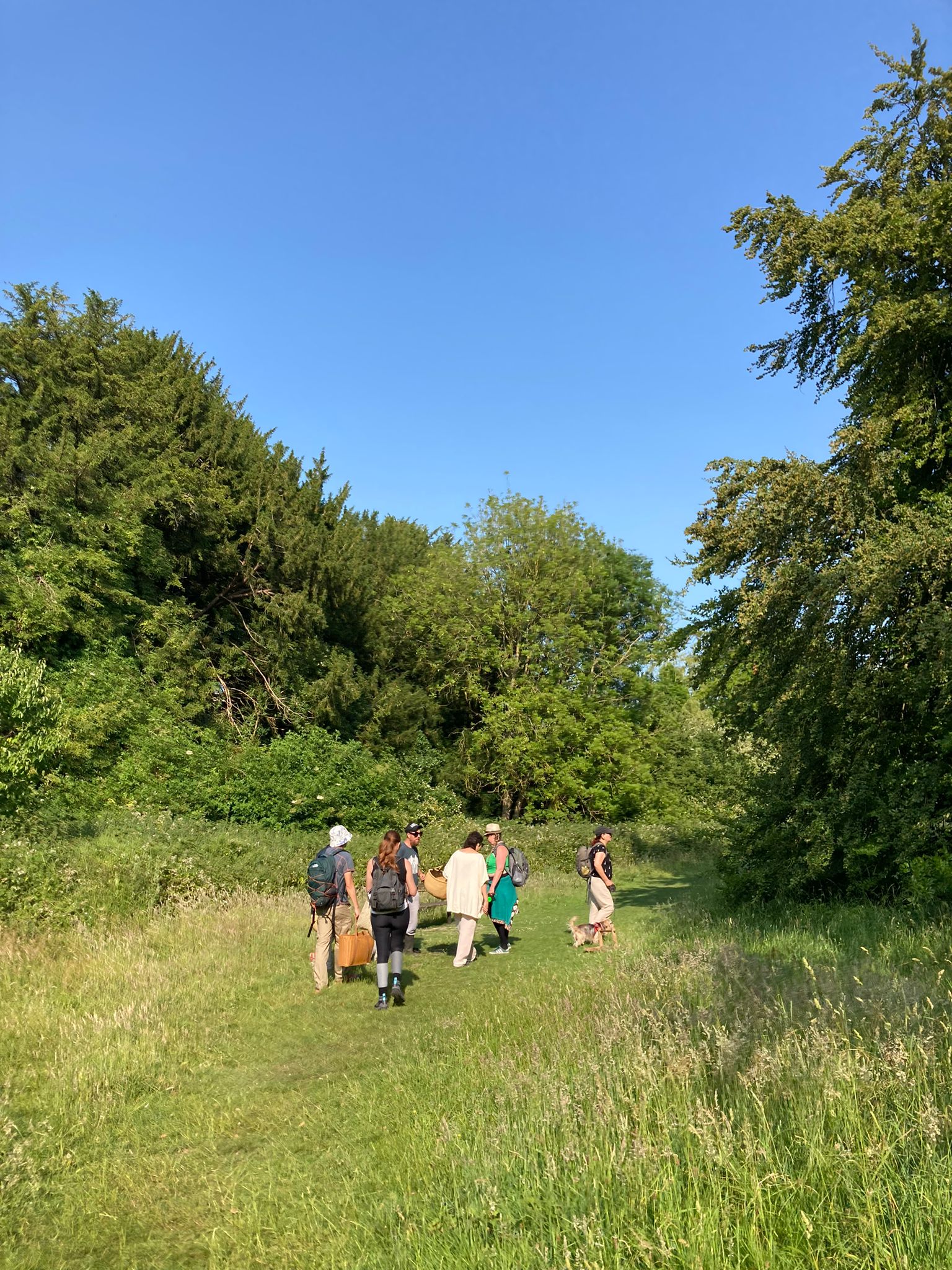 Introduction to Foraging (Brighton)