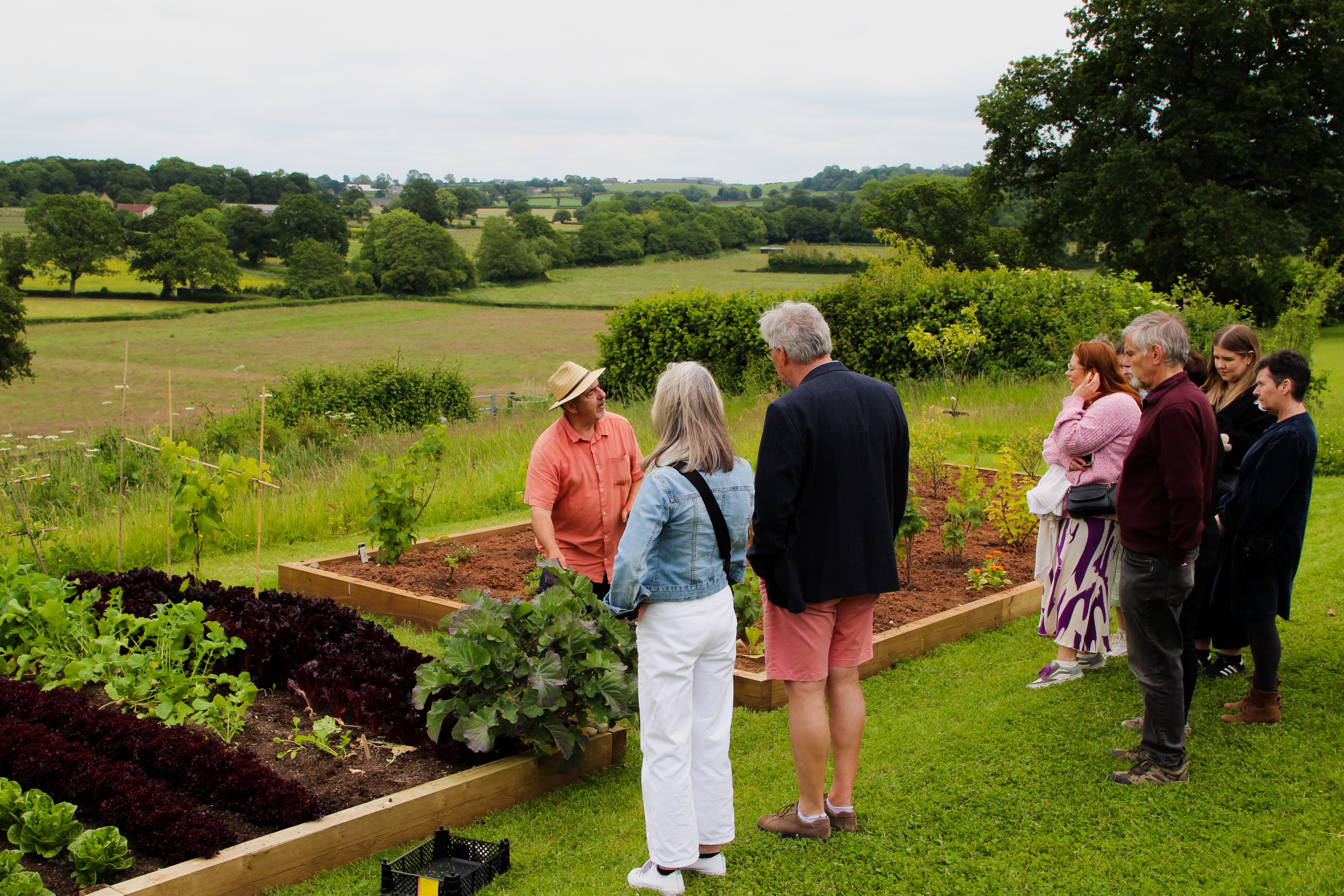 Wine and Cheese in The Cheddar Valley