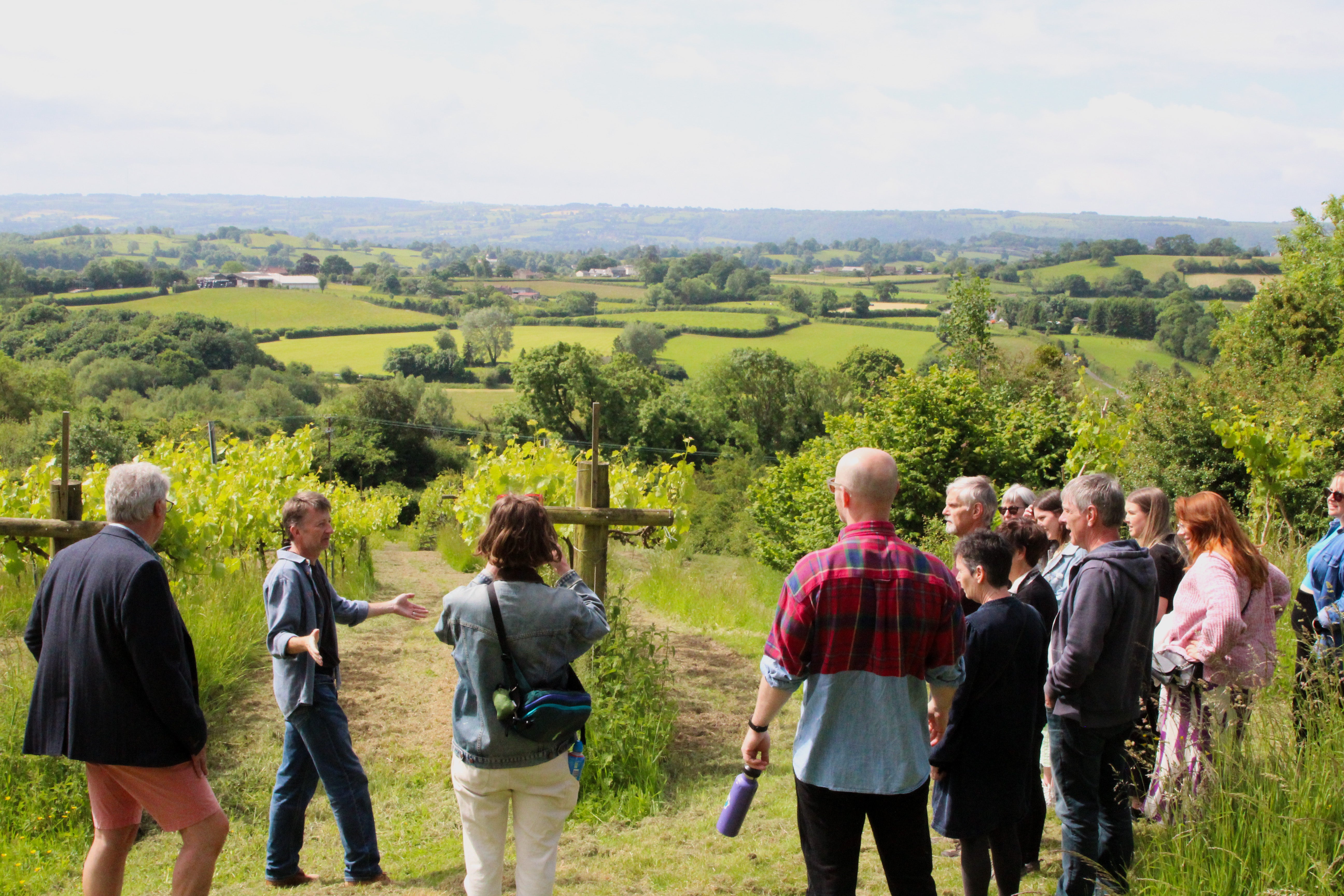 Wine and Cheese in The Cheddar Valley