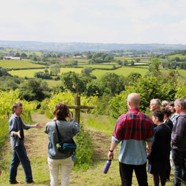 Wine and Cheese in The Chedder Valley