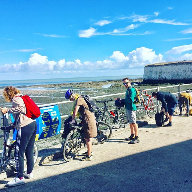 coastal foraging experience