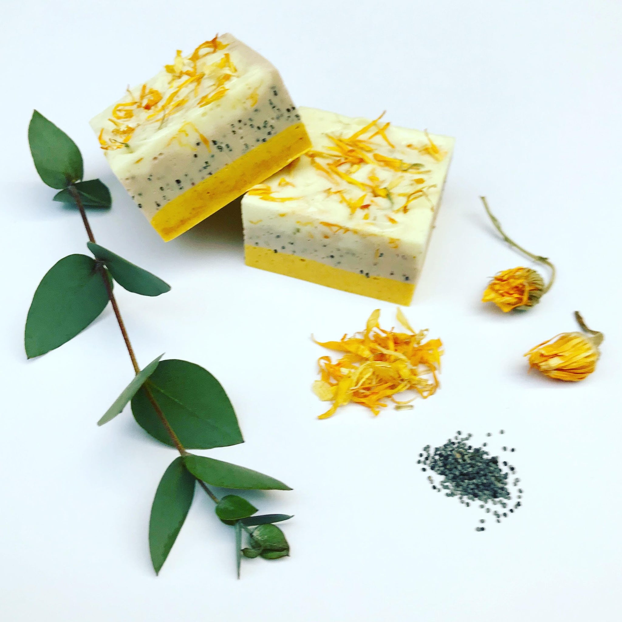 natural soap making workshop