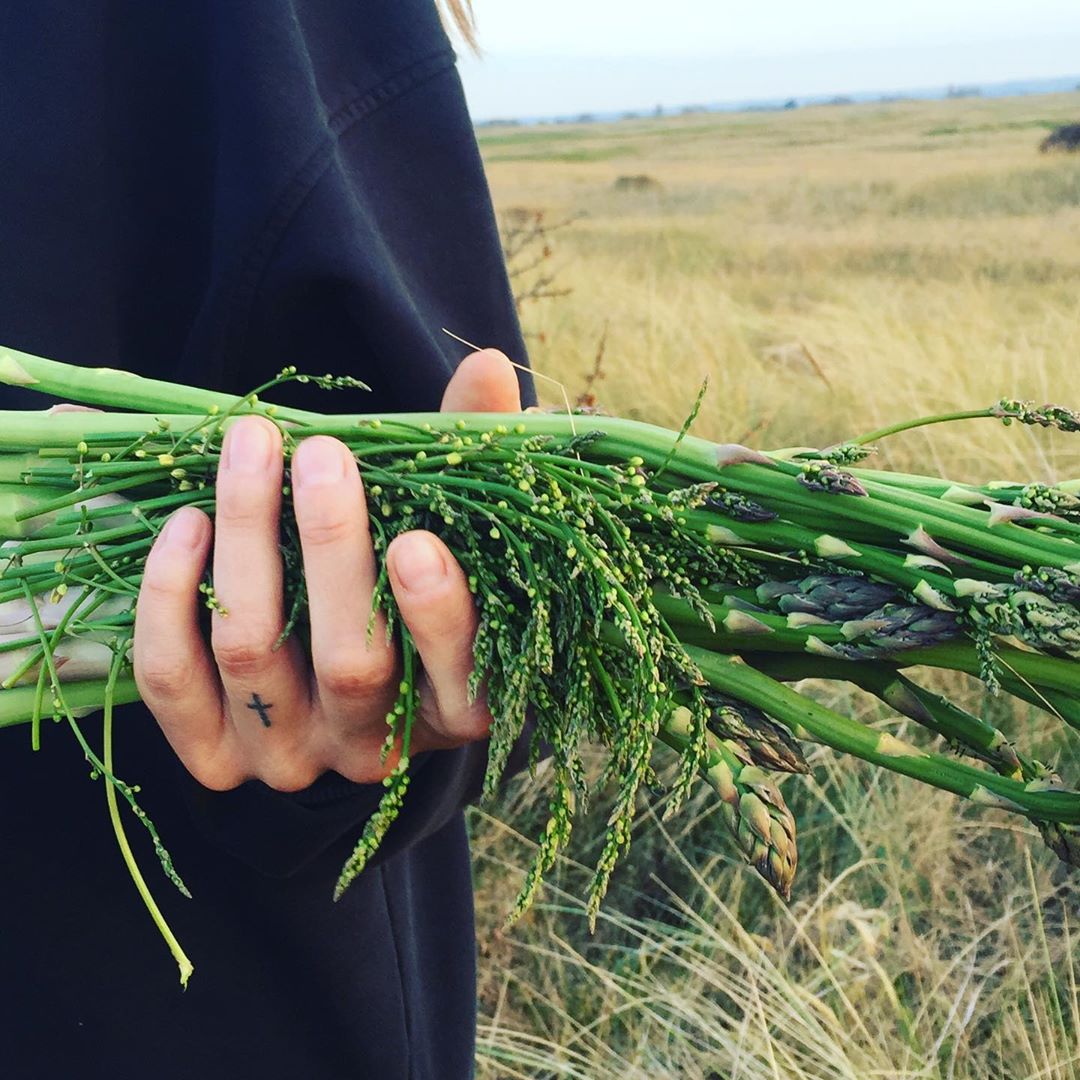 coastal-foraging-gift-experience